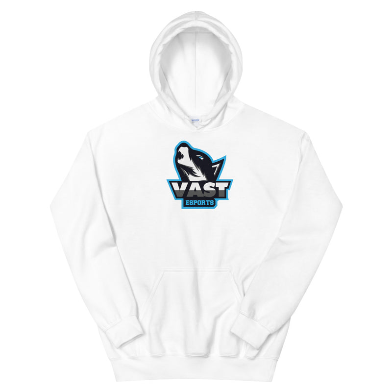 Vast Esports Hoodie